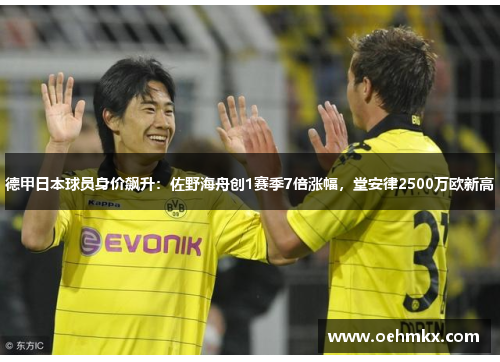德甲日本球员身价飙升：佐野海舟创1赛季7倍涨幅，堂安律2500万欧新高